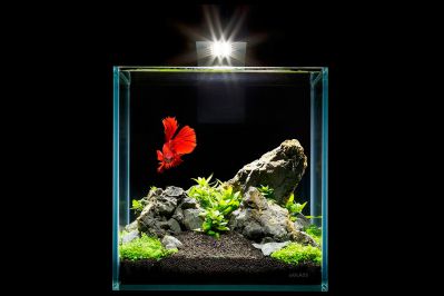 /images/product_images/info_images/akvariumnyj-nabor-nano-set-10-l_6.jpg